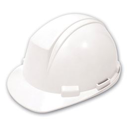 Picture for category Type 2 Hard Hats