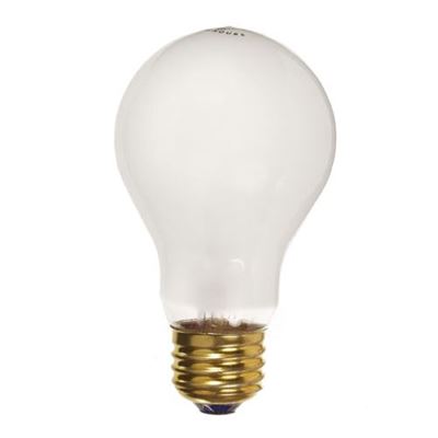 Picture of Vista 100 Watt Rough Service Bulbs (2 Pack)